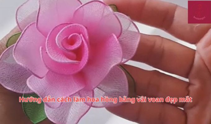 Hướng dẫn cách làm hoa hồng bằng vải voan đẹp mắt