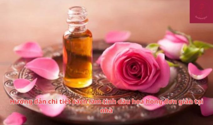 Hướng dẫn chi tiết cách làm tinh dầu hoa hồng đơn giản tại nhà