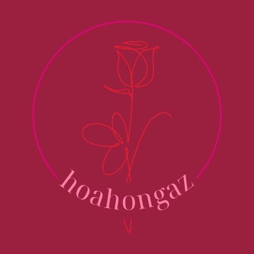 Hoahongaz.com