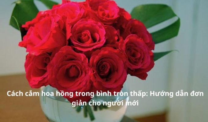 Cách cắm hoa hồng trong bình tròn thấp: Hướng dẫn đơn giản cho người mới